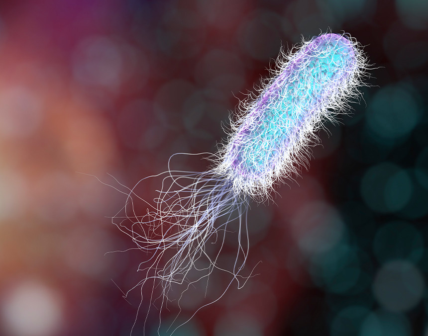 Imagen gráfica de una bacteria de color azul con lavanda
