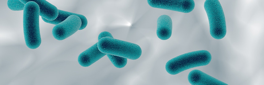 Imagen gráfica de diversas bacterias de color azul