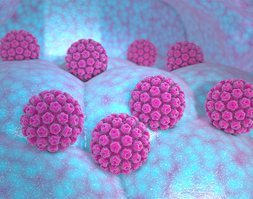 Imagen gráfica de un grupo de Virus del Papiloma Humano de color rosa