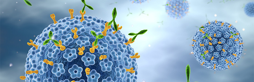 Ilustración en 3D que muestra anticuerpos atacando al virus del papiloma humano