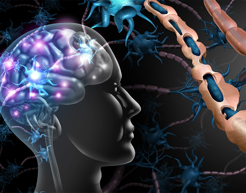 Ilustración 3D de una sistema nervios central en colores azul y morado