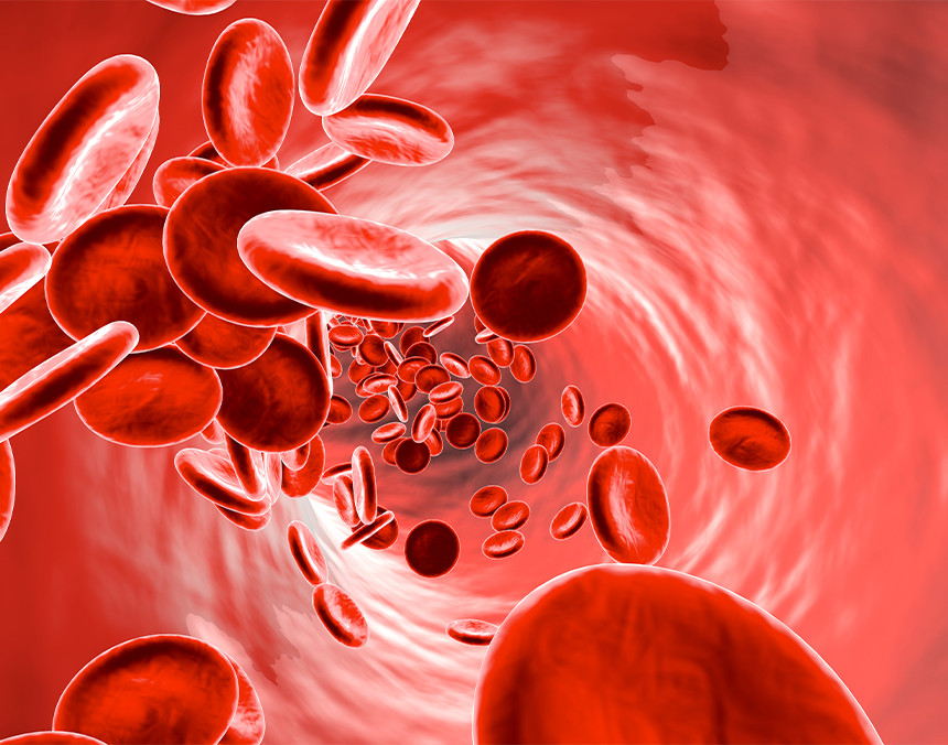 ¿Cómo reconocer la anemia?