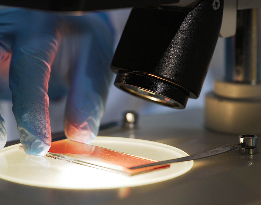 Manos de un médico con guantes azules analizando una muestra de laboratorio con un microscopio
