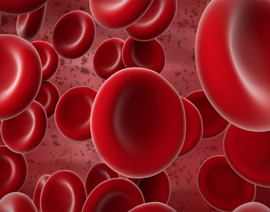Ilustración 3D de varios glóbulos rojos en un torrente sanguíneo