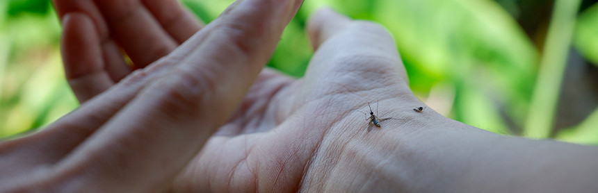 Mano de una persona matando a un mosquito en que estaba picando a otra persona