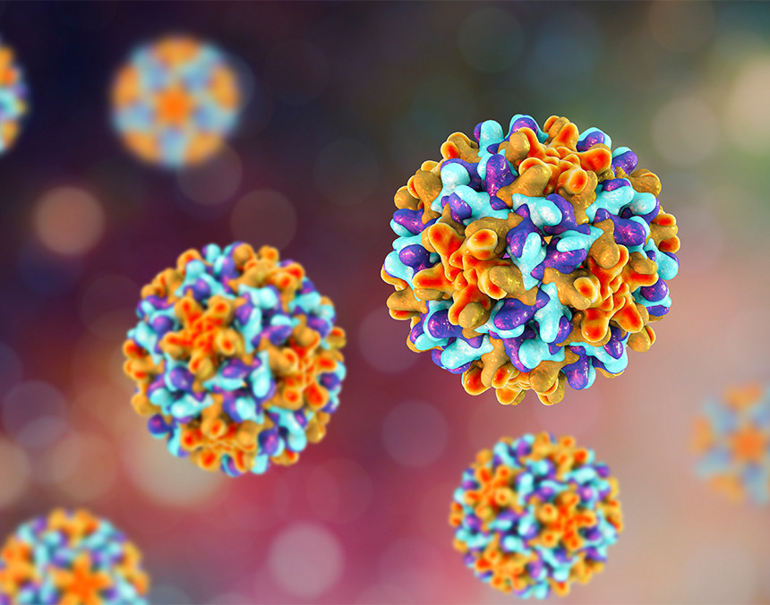 Ilustración 3D del virus de la hepatitis B en color azul, amarillo y rojo
