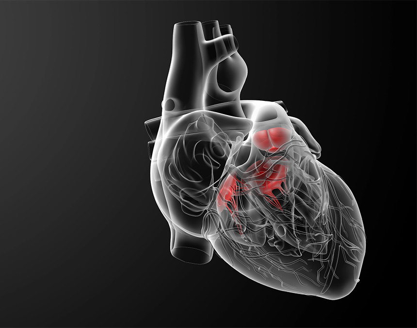 Todo lo que debes saber sobre las cardiopatías congénitas