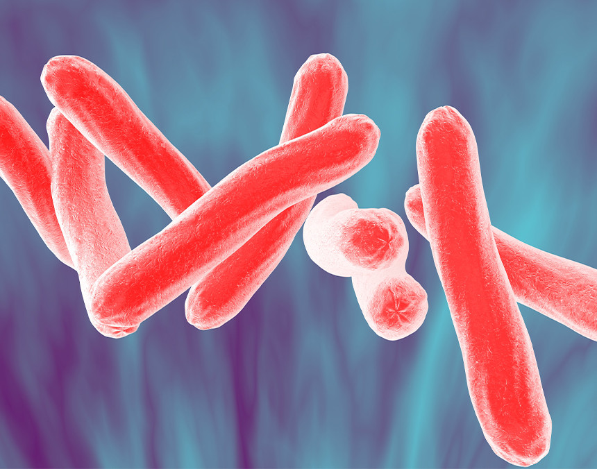 Diversos virus de tuberculosis en color rojo sobre un fondo azul y morado
