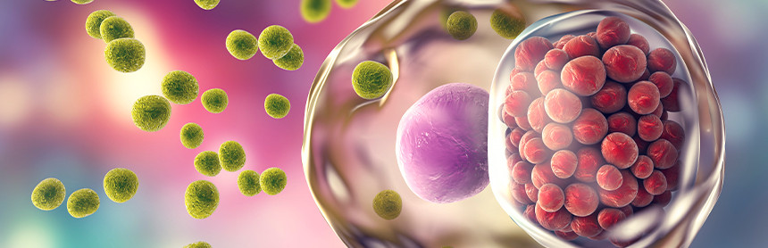 Ilustración 3D de muchas bacterias del virus Clamidia d color verde, intentando invadir un óvulo de color rosa
