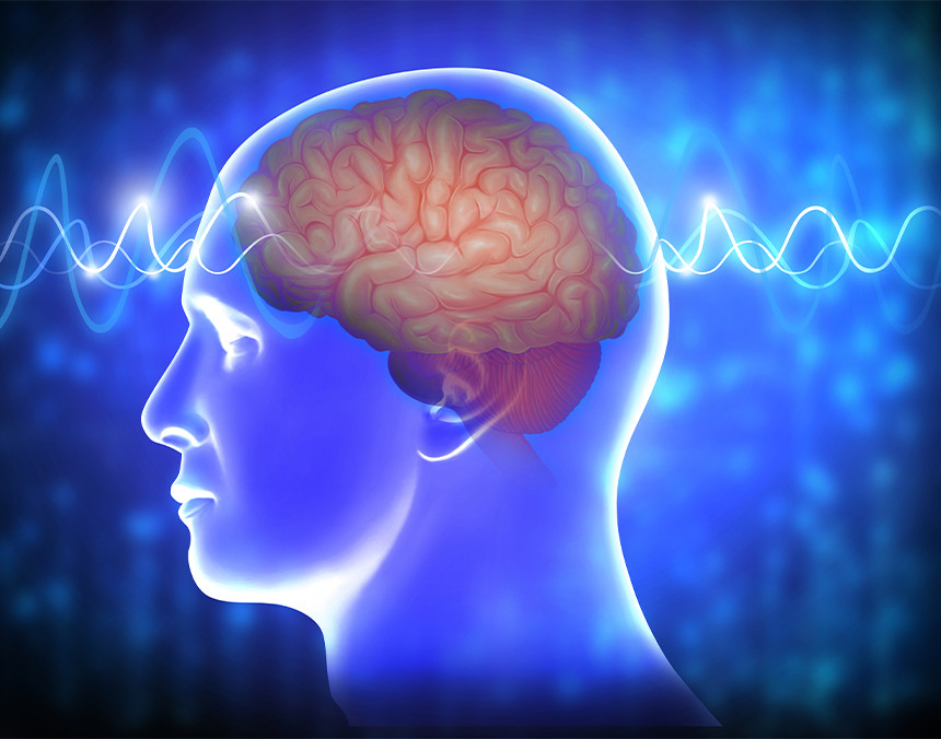 Ilustración de ondas cerebrales de color azul pasando a través del cerebro humano de color rosa
