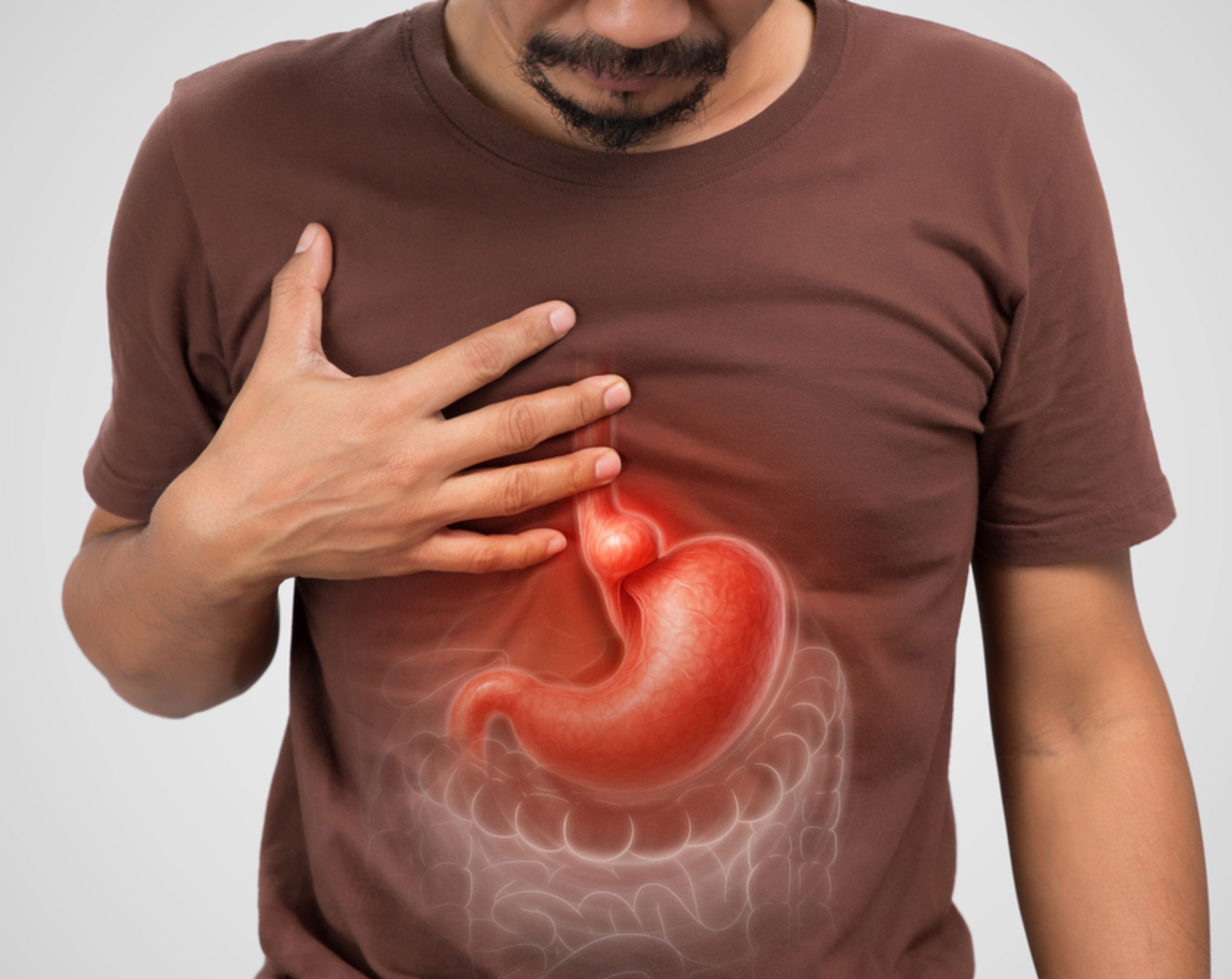 Hombre con playera café observa un modelo anatómico del sistema digestivo, en representación de la hernia hiatal que afecta la unión entre el estómago y el diafragma.