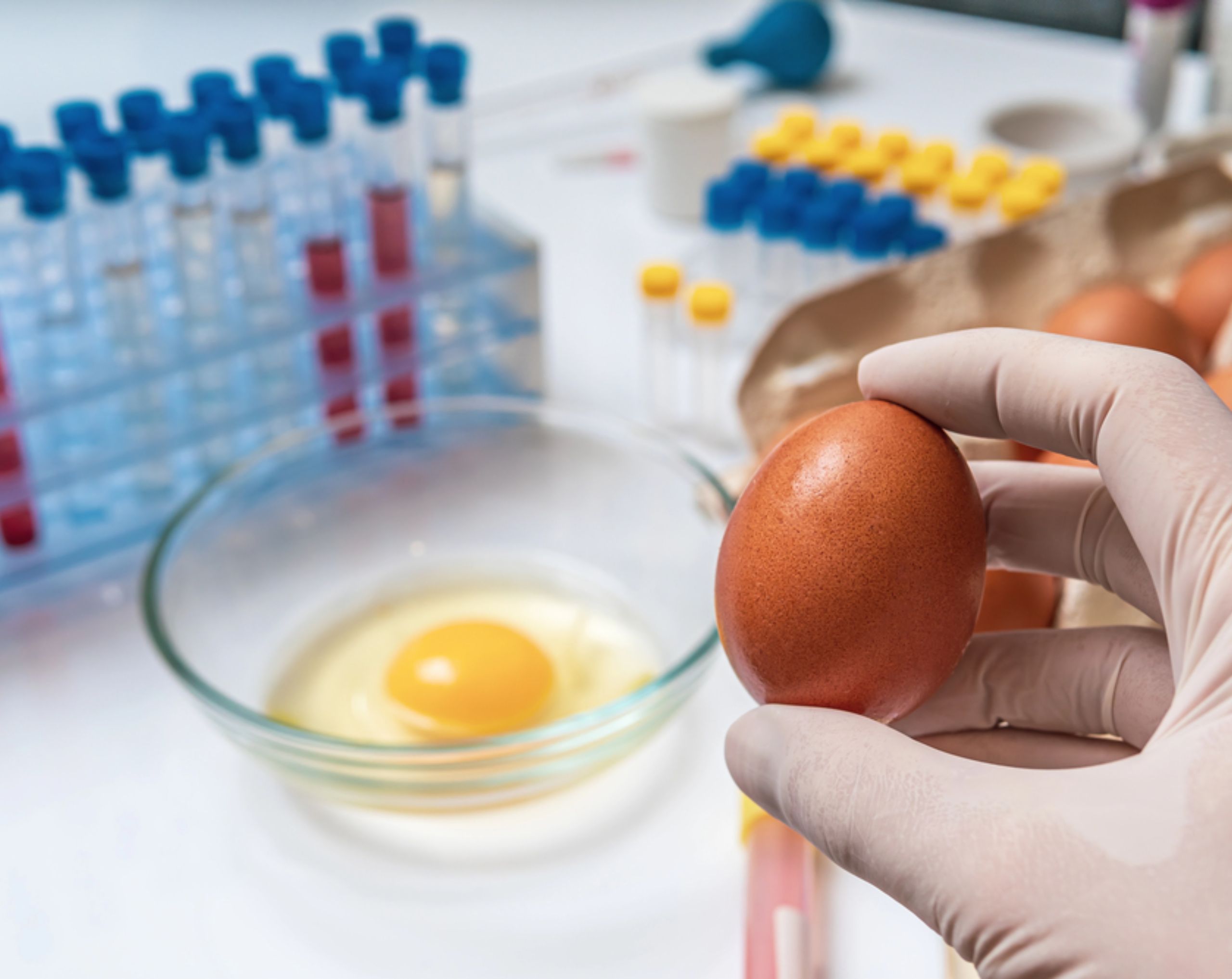 Mano de una persona sosteniendo un huevo crudo junto a otro huevo sobre una mesa con tubos de ensayo, en representación de la bacteria Salmonella y la contaminación de alimentos.