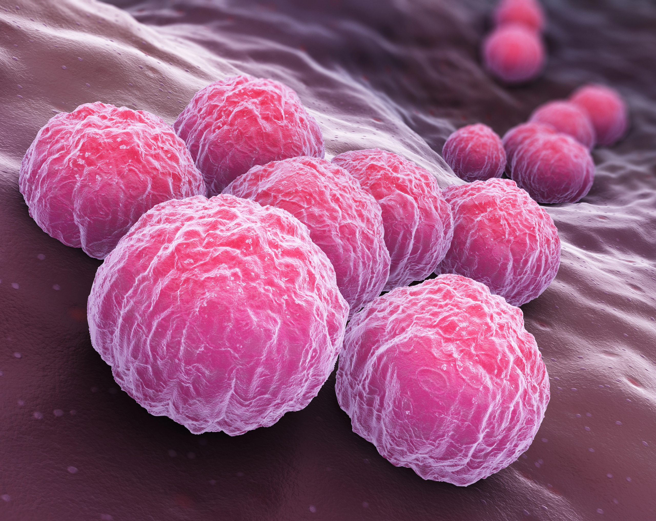 Ilustración de la clamidia en 3D, una bacteria que se transmite por contacto sexual y puede tener complicaciones.