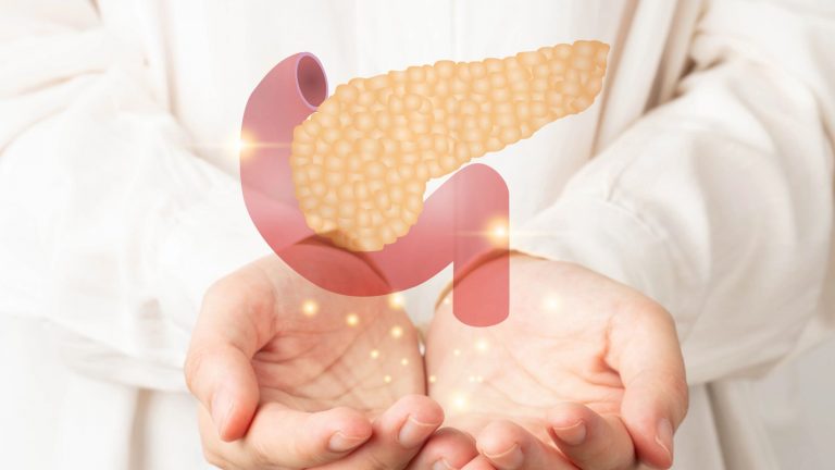 Función del páncreas | Regulación de glucosa y digestión