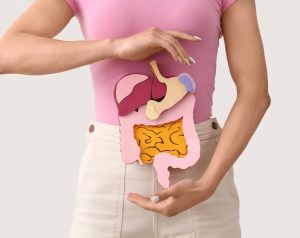 Mujer de mediana edad sostiene con ambas manos un modelo anatómico del sistema digestivo en representación de la función del páncreas en la digestión.