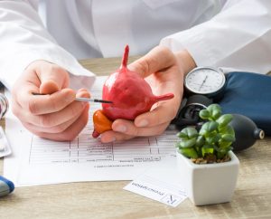 Médico con bata blanca sostiene un modelo 3D de la vejiga mientras explica a un paciente las causas de la incontinencia urinaria.