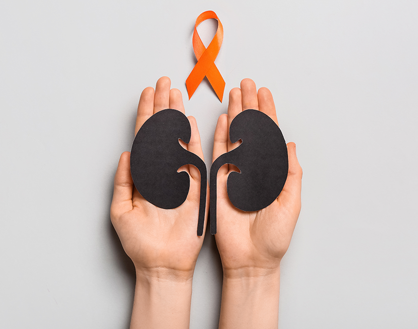 Dos manos sosteniendo un dibujo de dos riñones, arriba de ellas un listón naranja que simboliza el cáncer renal.