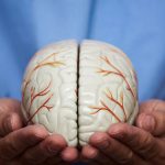 neuroplasticidad-y-su-rol-en-la-recuperación-cerebral