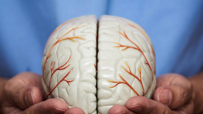 Neuroplasticidad y su rol en la recuperación cerebral