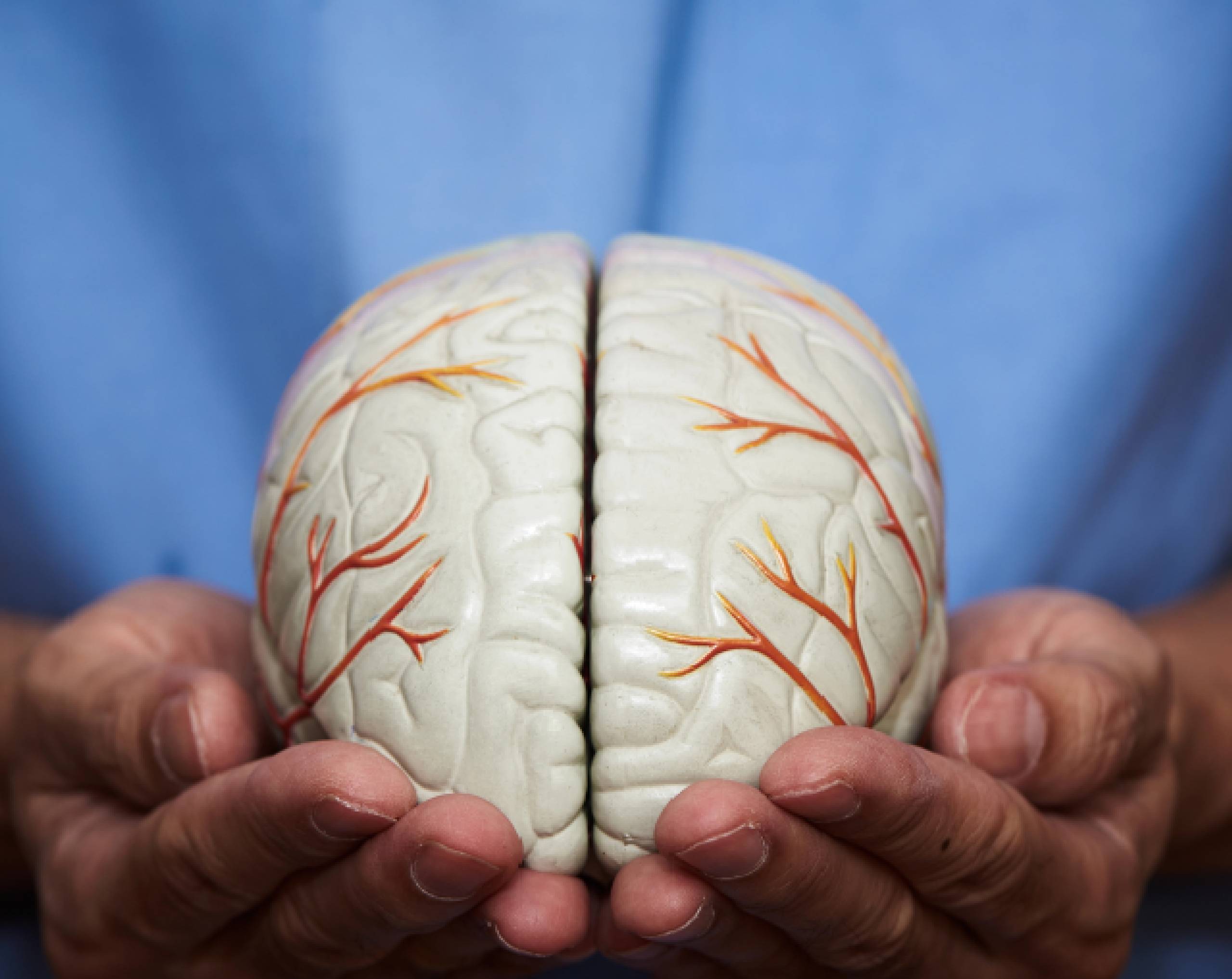 neuroplasticidad-y-su-rol-en-la-recuperación-cerebral