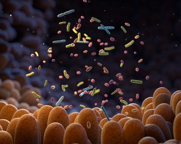 Microbioma intestinal | ¿Para qué sirve y cómo cuidarlo?