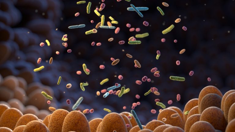Microbioma intestinal | ¿Para qué sirve y cómo cuidarlo?