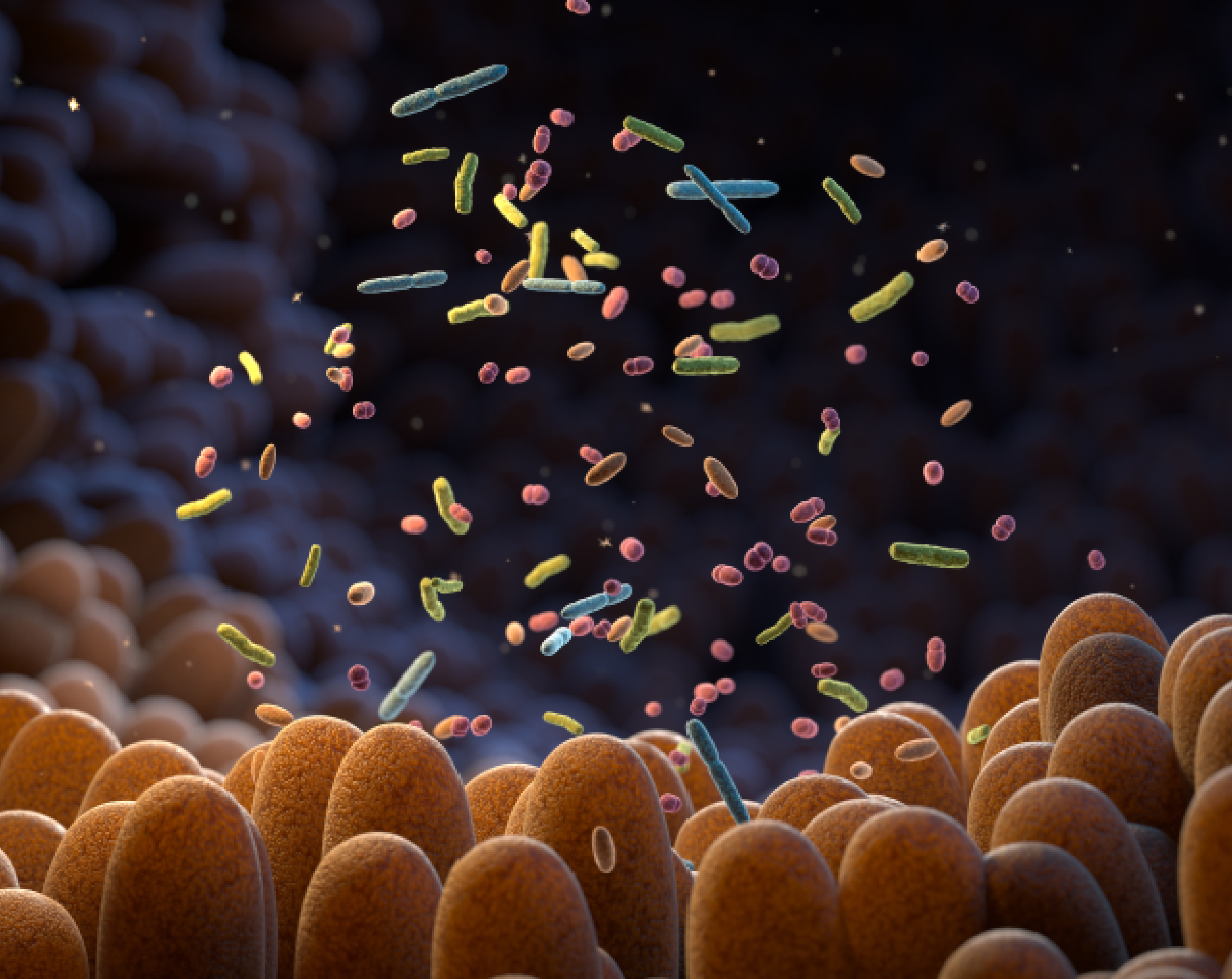 microbioma-intestinal-¿para-qué-sirve-y-cómo-cuidarlo?