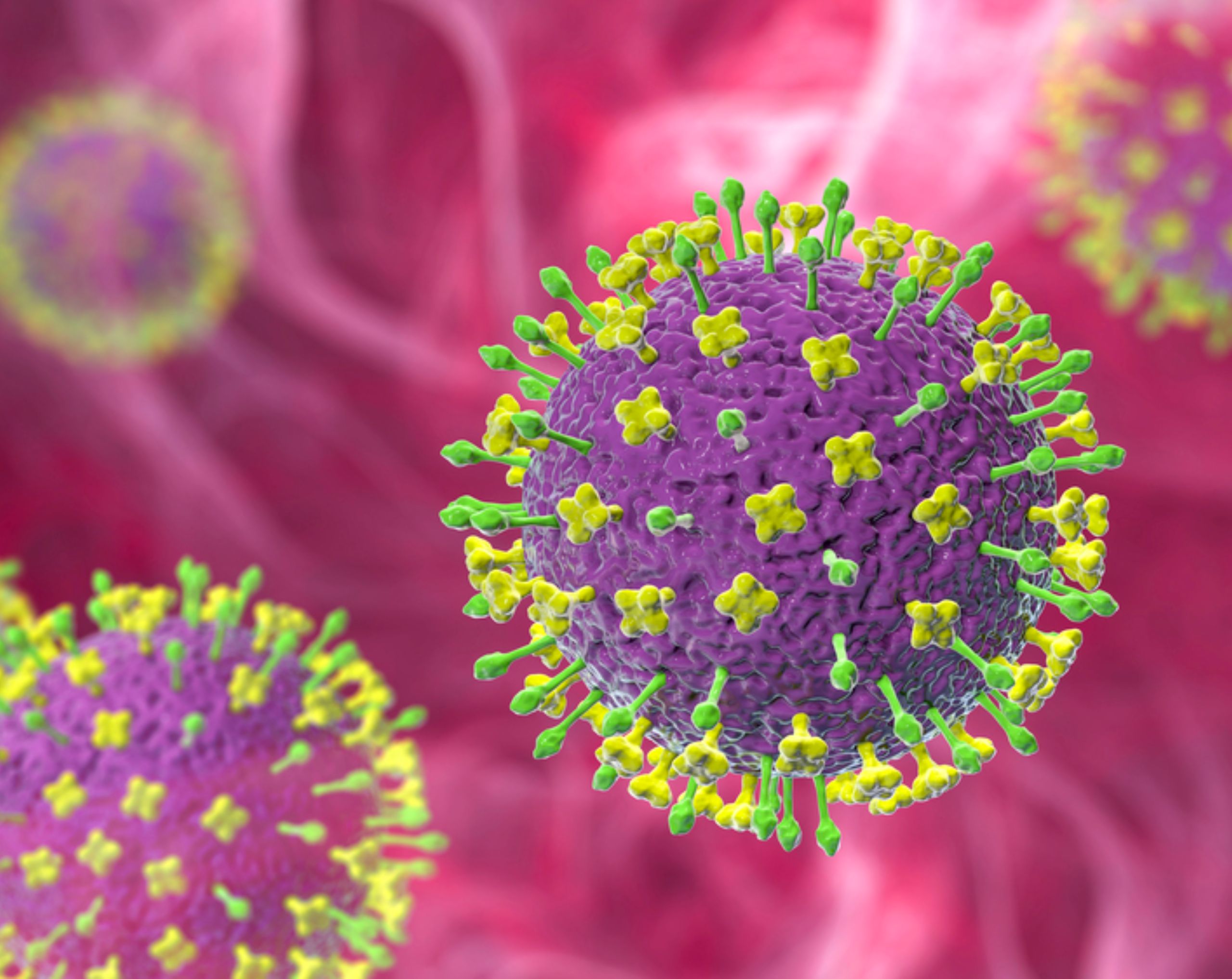 Modelo 3D del virus Nipah en representación de la infección que puede afectar al cuerpo humano.