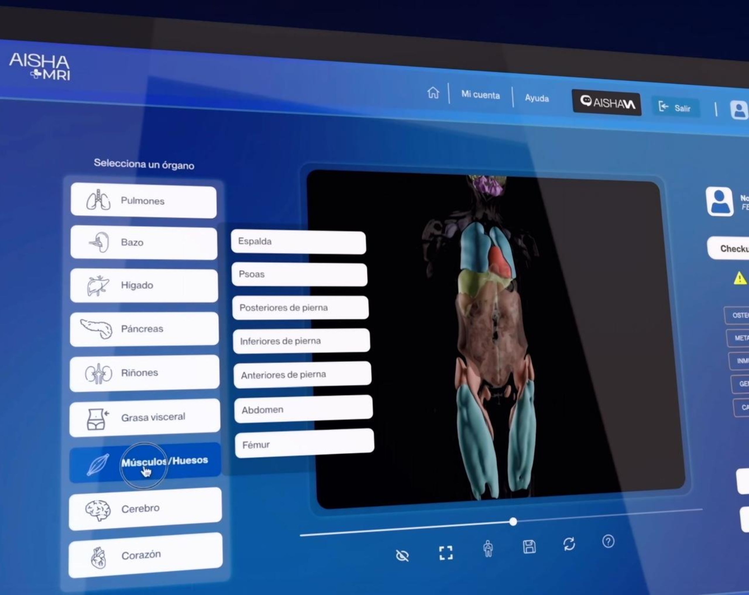 Pantalla de computadora mostrando reconstrucción 3D del cuerpo generada por AISHA MRI, con los órganos que se analizan en la plataforma.