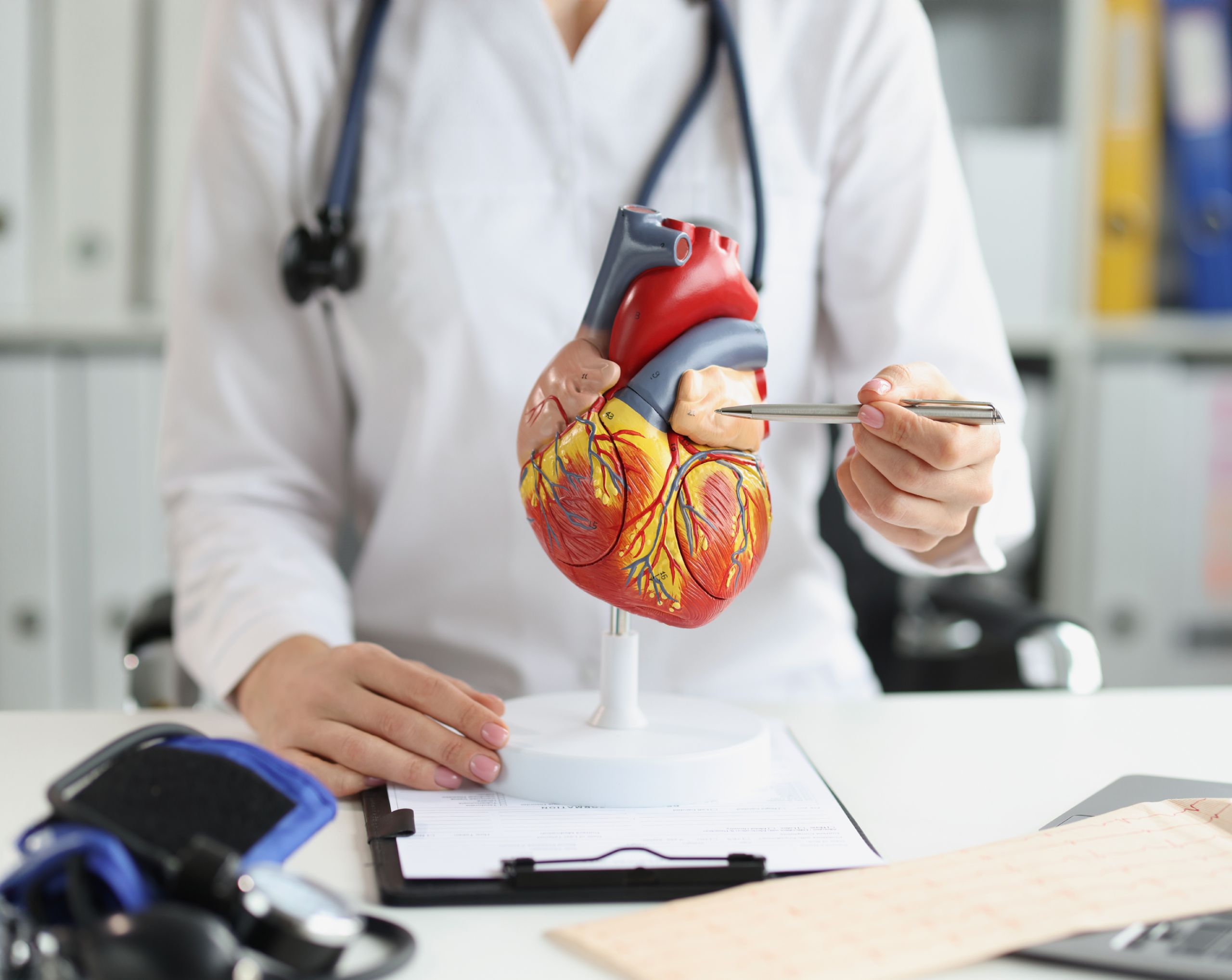 Cardióloga señala una arteria del corazón con una pluma mientras explica a un paciente el tratamiento con stent coronario.