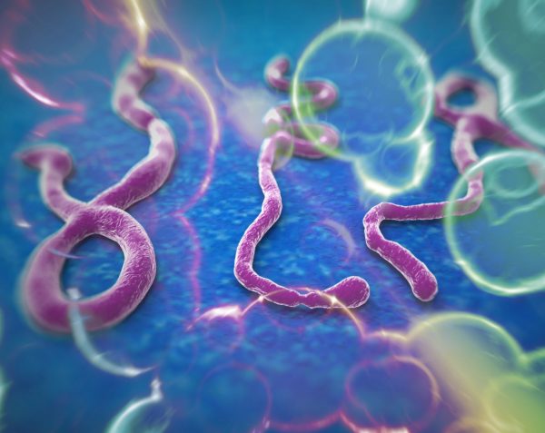 Ébola: síntomas y cómo prevenir esta enfermedad