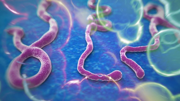 Ébola: síntomas y cómo prevenir esta enfermedad