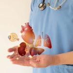 médico con diagrama de donación de órganos