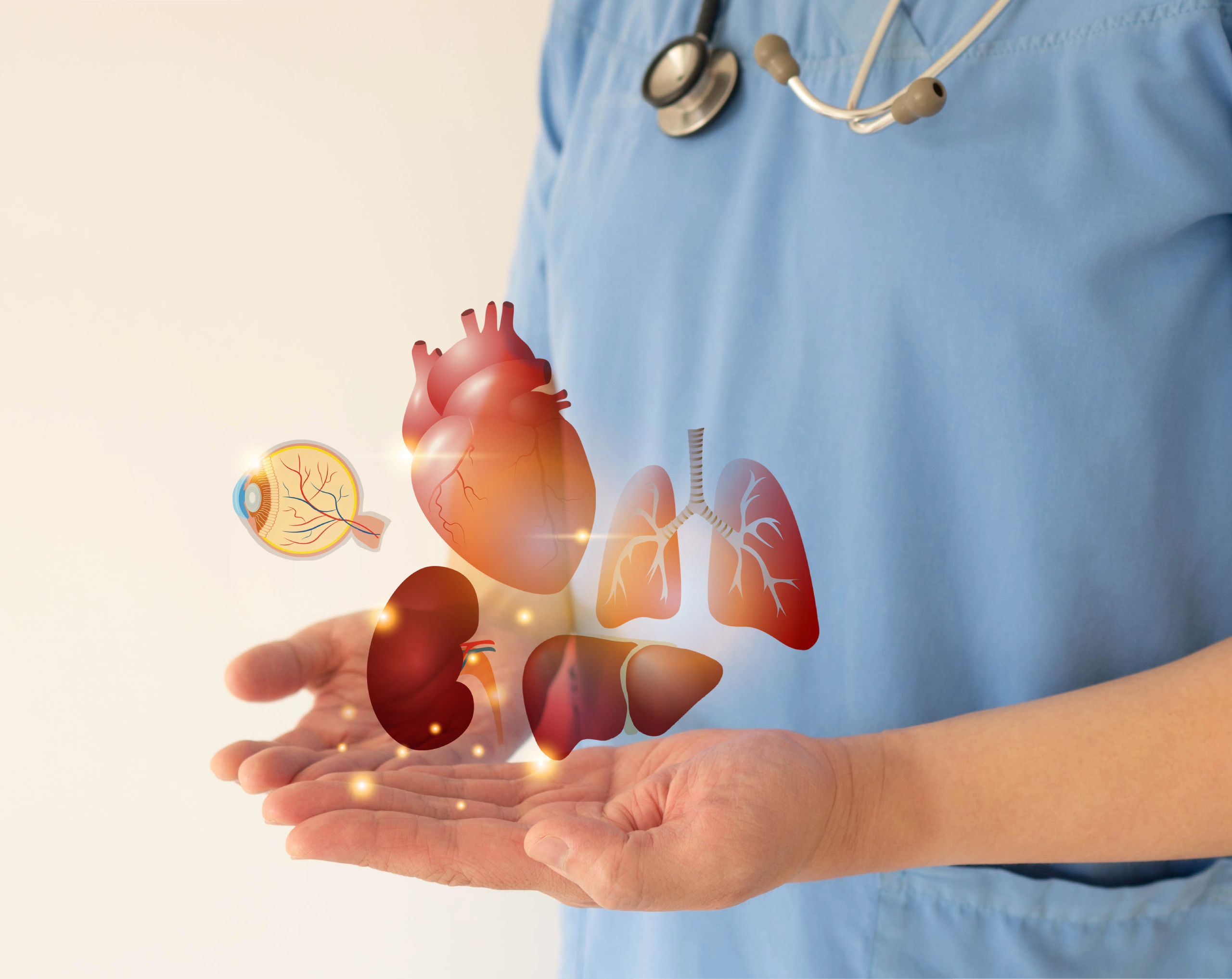 médico con diagrama de donación de órganos